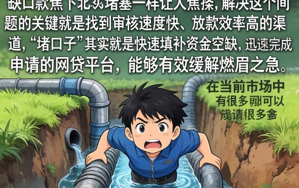 下水道的口子怎么堵，揭秘五个极速审核的网贷app