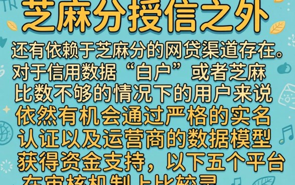 有不看芝麻分的网贷没，汇整5个5000块贷款秒下口子