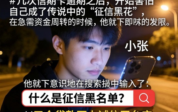 怎么才是征信黑花了呢，条列5个贷款不上诚信平台的软件