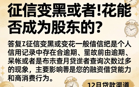 征信黑花了能当股东吗，枚举5个12月能贷款的口子