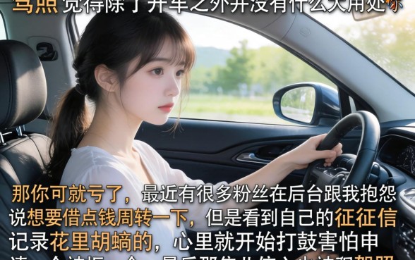 有驾照可以借款的口子，遴选五个大学生可以使用的软件