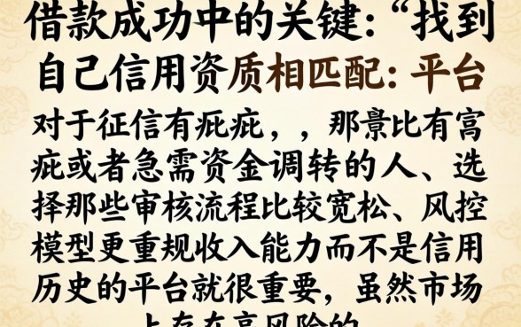 怎么借款才能成功，细致阐述5个高炮能下款的平台