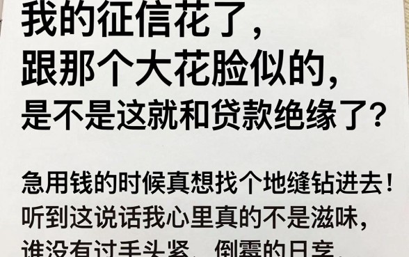黑白户能下款的口子,汇整五个急用小钱不求征信流水轻松贷的口子