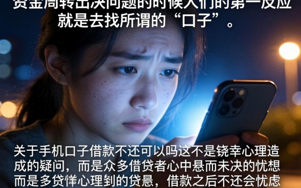 手机口子借款不还行吗，归纳五个无视评分的贷款口子