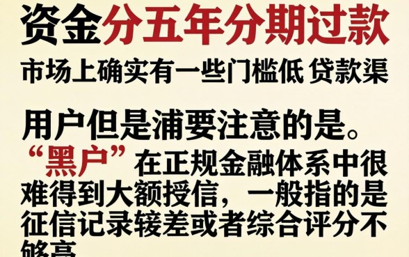 贷款app 5年分期，枚举五个黑户能下款的平台