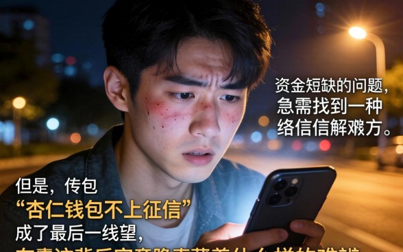 杏仁钱包不上征信吗,详细阐述5个简单容易贷款软件