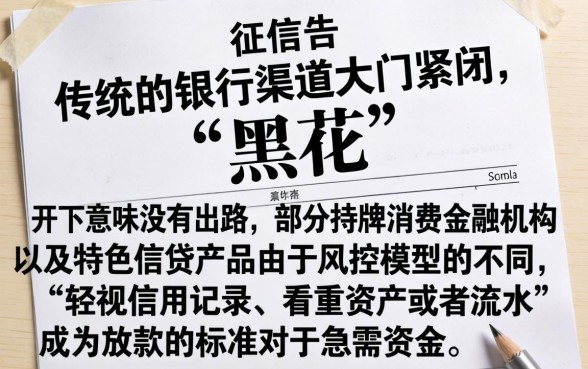个人征信黑花了怎么弄，概览五个借款无视黑白100%秒过