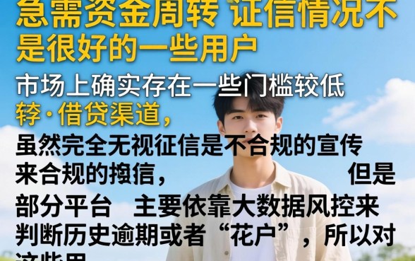 能下款的新口子,归纳5个无视逾期大数据花户黑户软件