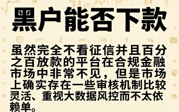 不上征信必下的网贷平台，详细阐述五个黑户可以做大额贷款app