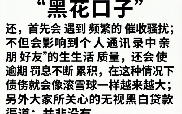黑花口子不还会怎么回事，精选五个无视黑白贷款口子