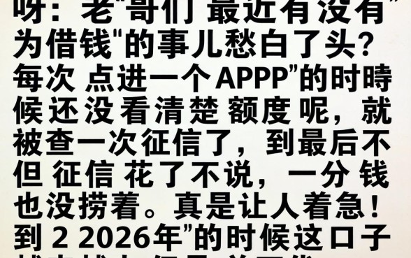 2026还有下款的口子嘛，概括5个不看负债和征信的口子