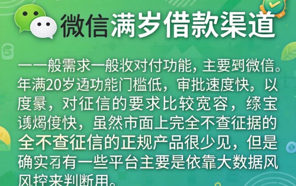 像微信分付一样的借款软件，概括五个20岁可以借钱平台不查征信的软件