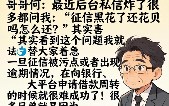 征信黑花了还花呗吗怎么还，详尽说明五个黑户成功获取大额贷款的平台