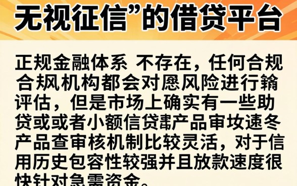 在什么平台上借钱安全点，概览五个无视征信黑白100%秒下网贷平台
