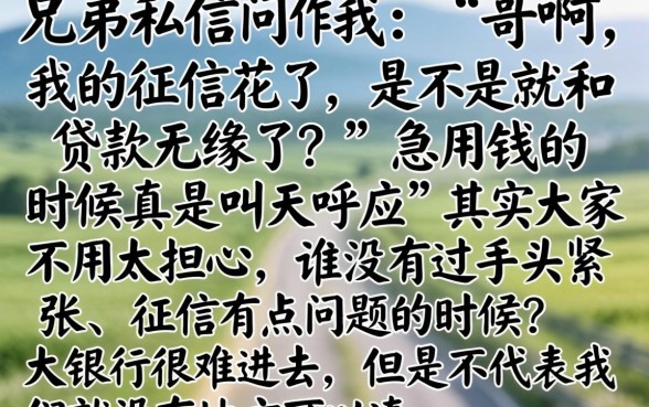 有什么黑口子可以下款，细致阐述五个无视征信黑白户秒下款的贷款