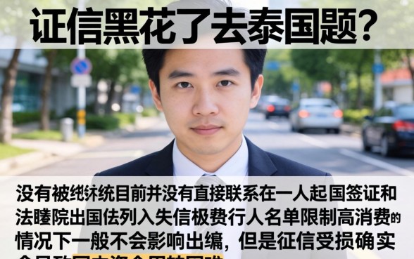 征信黑花了能去泰国吗，梳理五个APP容易借款1万块的app