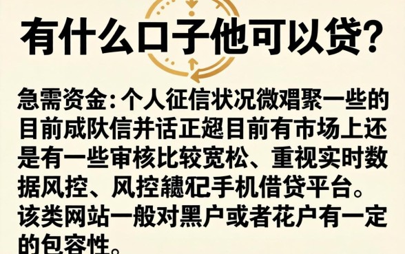 有什么口子他可以贷的推荐下，陈列五个手机小额黑户快速贷款平台
