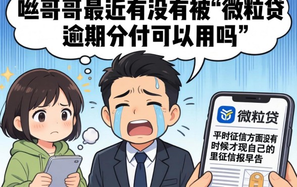 微粒贷逾期分付可以用吗，汇总5个正规不看征信的小额贷款软件