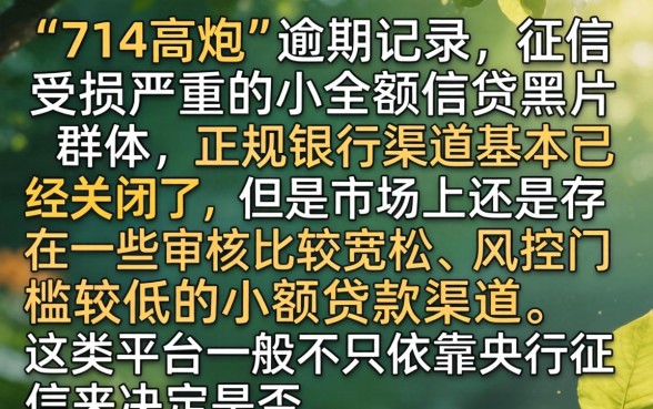 714逾期能下的口子，概览五个黑户可以下的贷款平台