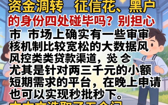 不看征信的秒批2000，汇总5个无视黑花半夜下款的网贷软件