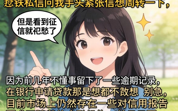 融金所的车贷审批下款快不快，概括5个凭支付宝花呗贷款的平台