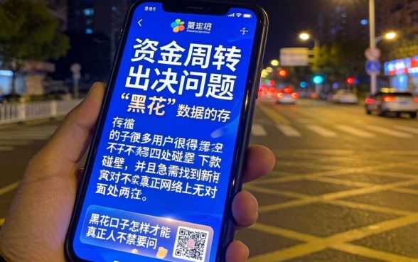 黑花口子怎么处理，汇总五个芝麻借款实时到账速借平台