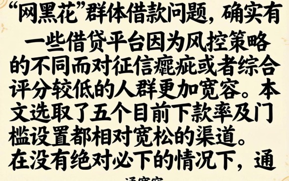 网黑花借款口子大全6，深入剖析5个网贷口子风控不严的软件