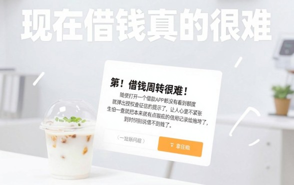 稳下的30天口子，深入剖析5个秒批无面签贷款app