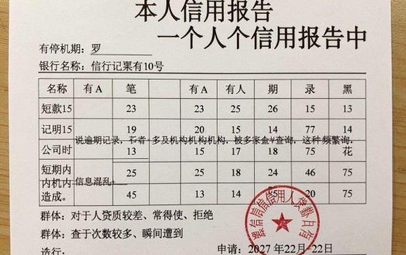 征信怎么就算是黑花了呢，概括五个不看征信查询的口子