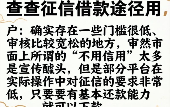 不用信用的借款app，规整五个高炮能下款的app