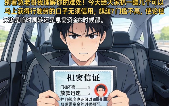 行驶证秒下款的口子，陈列5个急用不求评分快借无忧的平台
