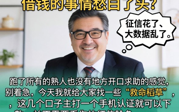 手机认证即可下款的口子，枚举5个征信花居然都下款了的平台
