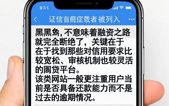黑名单如何用手机借钱，揭秘5个征信花了能网贷的平台