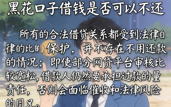 黑花口子借钱可以不还吗，详尽说明5个无视黑白100%秒下网贷平台