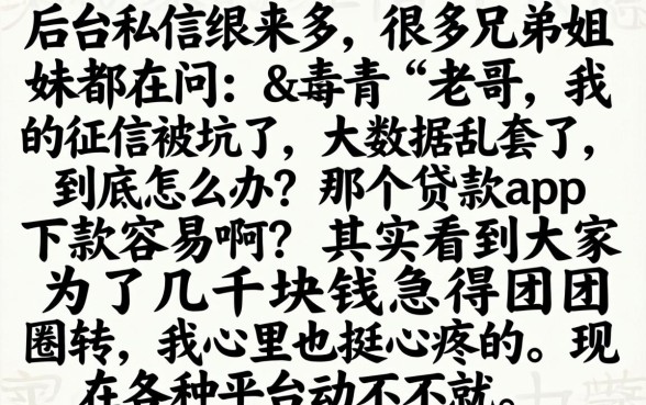 那个贷款app容易下款，细致阐述五个不看综合评分的网贷百分百下款口子