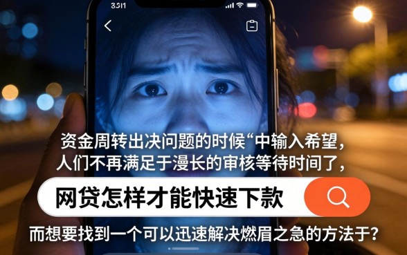 网贷怎么快速下款的口子，枚举5个无视一切包下款5000秒下款的平台