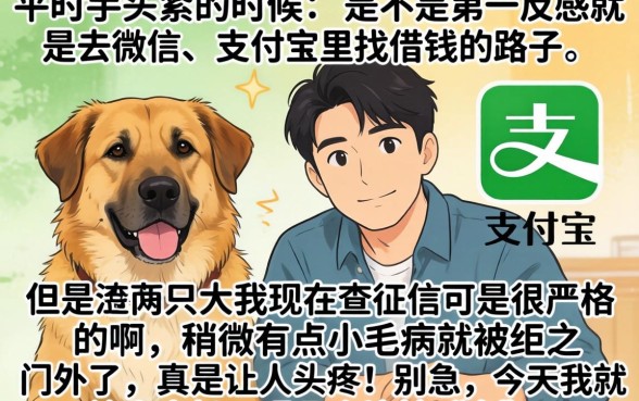 微信支付宝可以借钱的，揭秘五个新号易贷速审秒下款平台