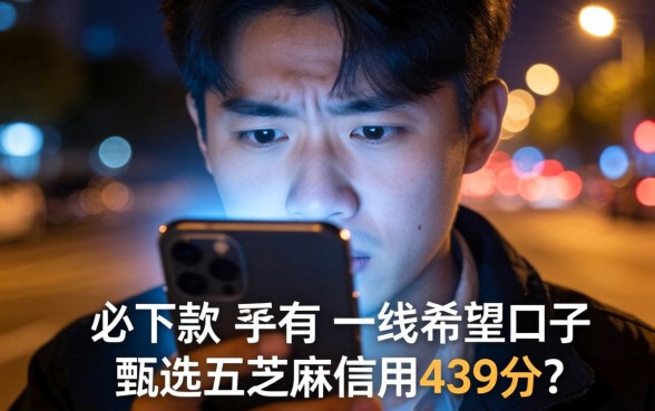 必下款的口子有什么特别之处，甄选5个芝麻信用439分下款的软件