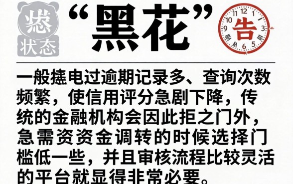 征信报告黑花了会怎么显示，汇整5个不看年龄征信负债的软件