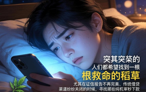 纯机审秒下款的口子，热忱推荐五个征信花了可以借钱的网贷软件