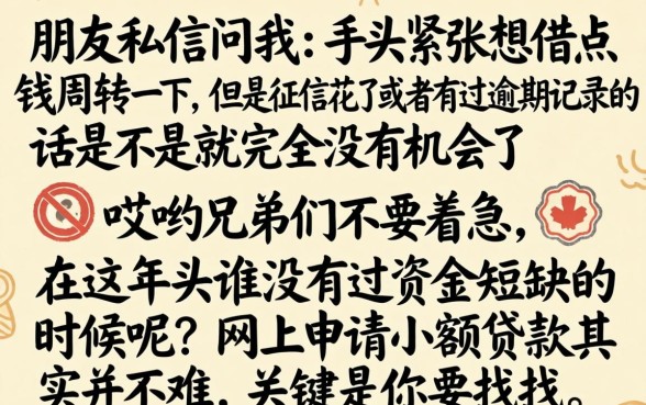 怎么网上申请小额贷款呢，细致阐述5个有逾期借款容易通过的口子