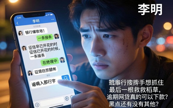 逾期网贷能下款的口子，详细阐述5个黑户能下款的平台