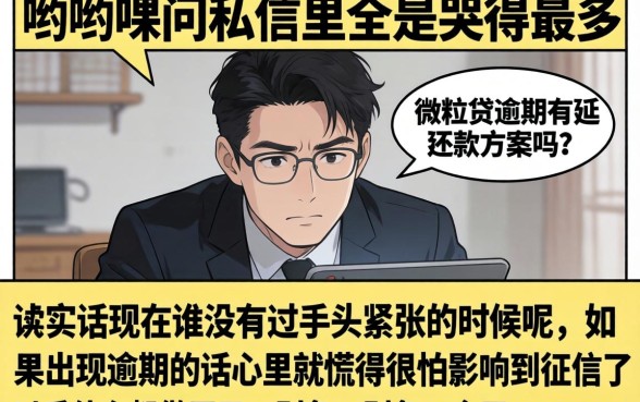 微粒贷逾期有延还款的方案吗，罗列5个信用卡贷款口子好软件