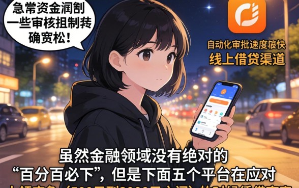 晚上也能秒下500的口子，甄选五个3000元无视一切必下款的口子