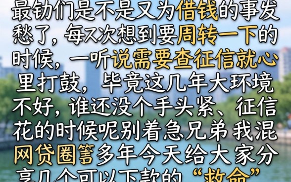到底有没有能下款的口子,整合五个征信花了可以借钱的网贷口子