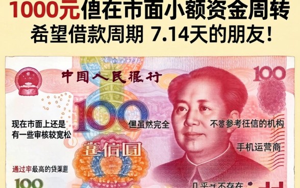 借1000小额贷款7-14，概括5个贷款好做不看征信的平台