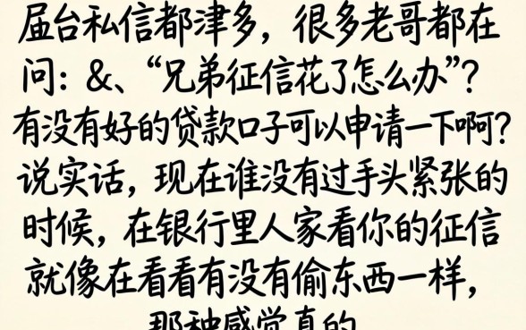 有没有什么好口子可以下款,整理5个12月能贷款的口子