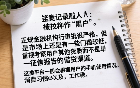 黑户你能下的口子，甄选五个无视黑白户的下款口子
