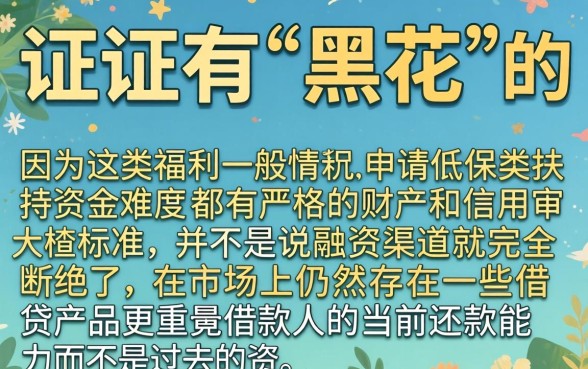 征信黑花了还能吃低保吗，归集5个值得信赖的借贷app
