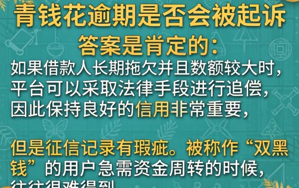 有钱花的逾期会被起诉吗，揭秘五个无视双黑能下的分期贷